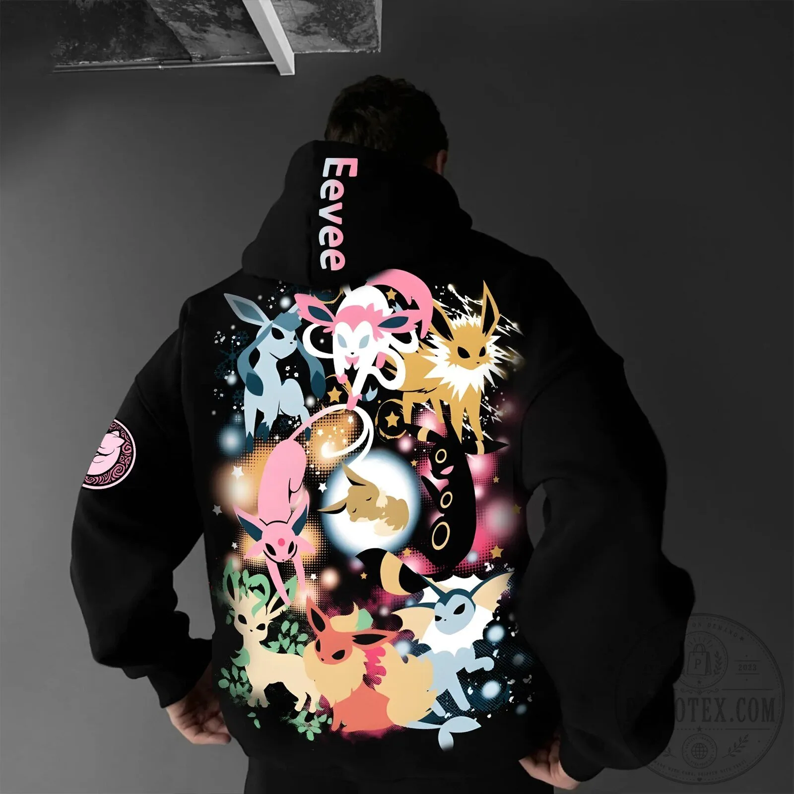 Pokemon Eevee and Eeveelutions Evolution Black Graphic Hoodie